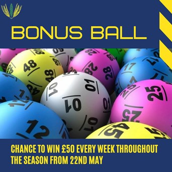 BONUS BALL 2021